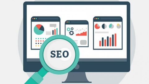 SEO WEB SEO WEB