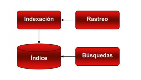 SEO posicionamiento web Monterrey