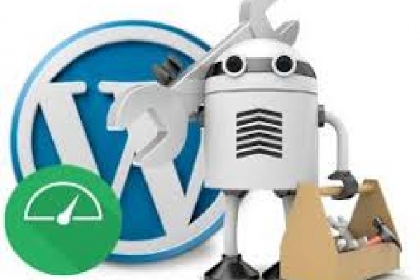 Posicionamiento Web Wordpress en Cancún