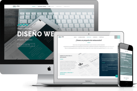 Diseño de paginas web Zacatecas